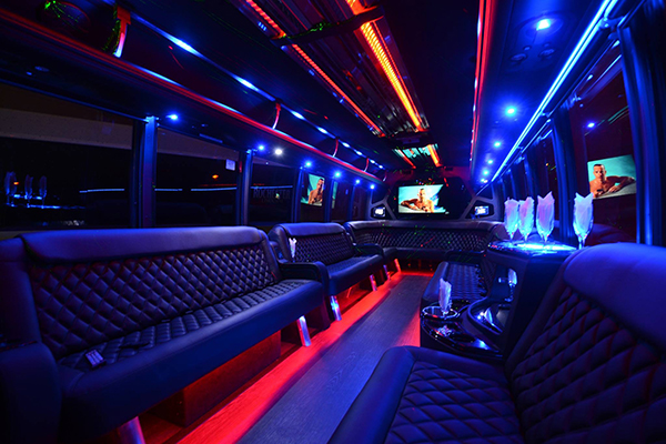 30-passenger-party-bus-rental - about