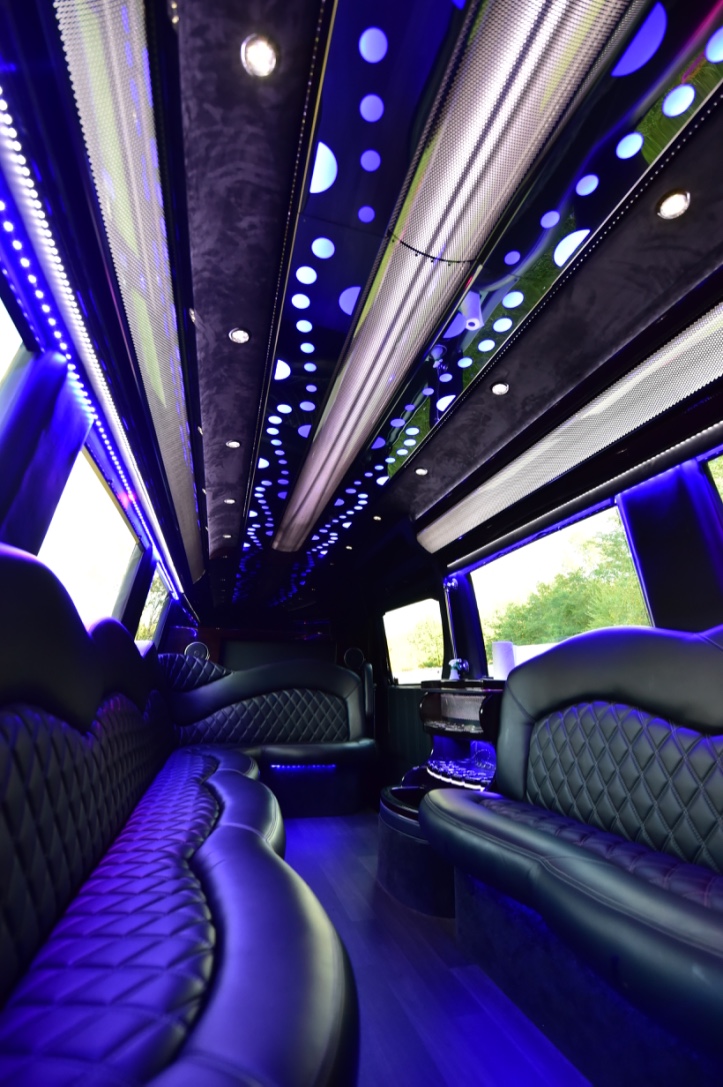 Mercedes Sprinter Party Bus Interior Detail
